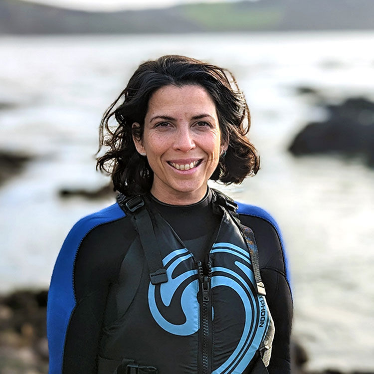 Professor Ana M Queirós